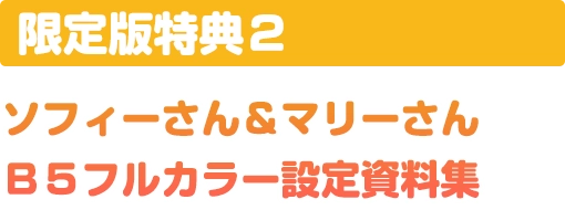 限定版
